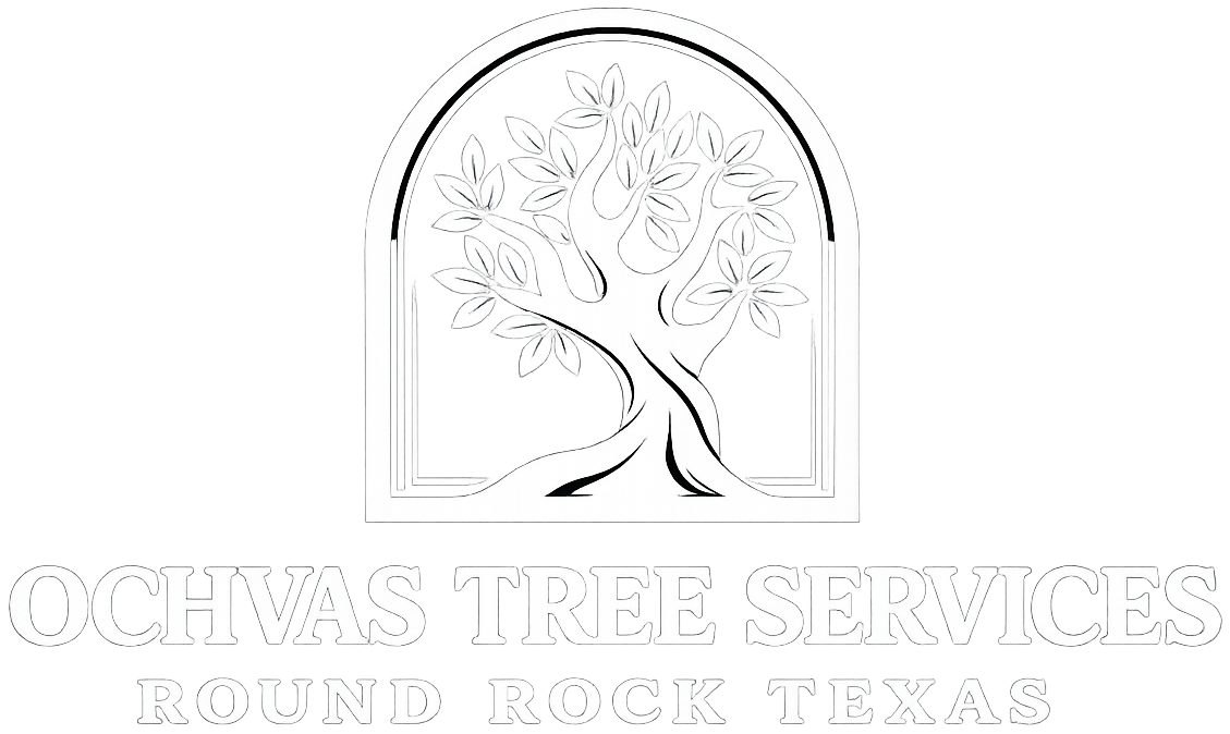 Ochvas Tree Services