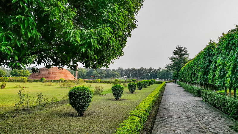 Landscaping Services